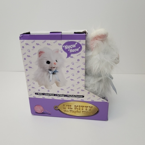 Lil kitty playful cat - Picture 2 of 7